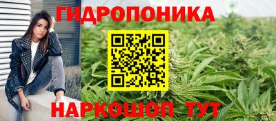гашик Балашиха