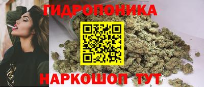 амф Донской