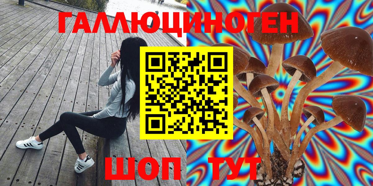 Псилоцибиновые грибы Magic Shrooms Гудермес